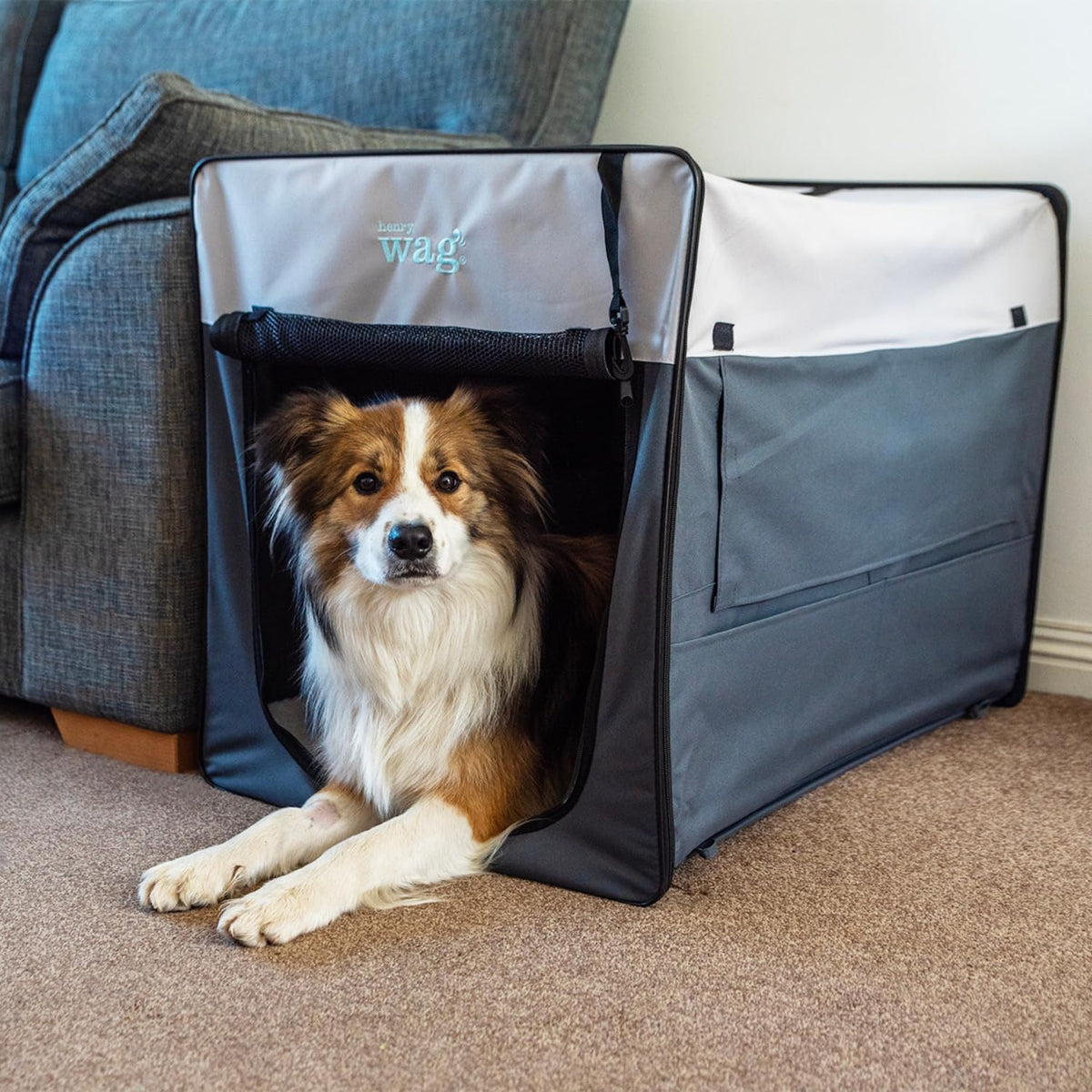 Henry Wag Folding Fabric Travel Crates