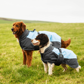 Waterproof Dog Coat