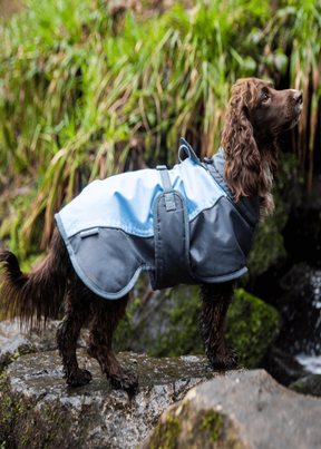 Waterproof Dog Coat