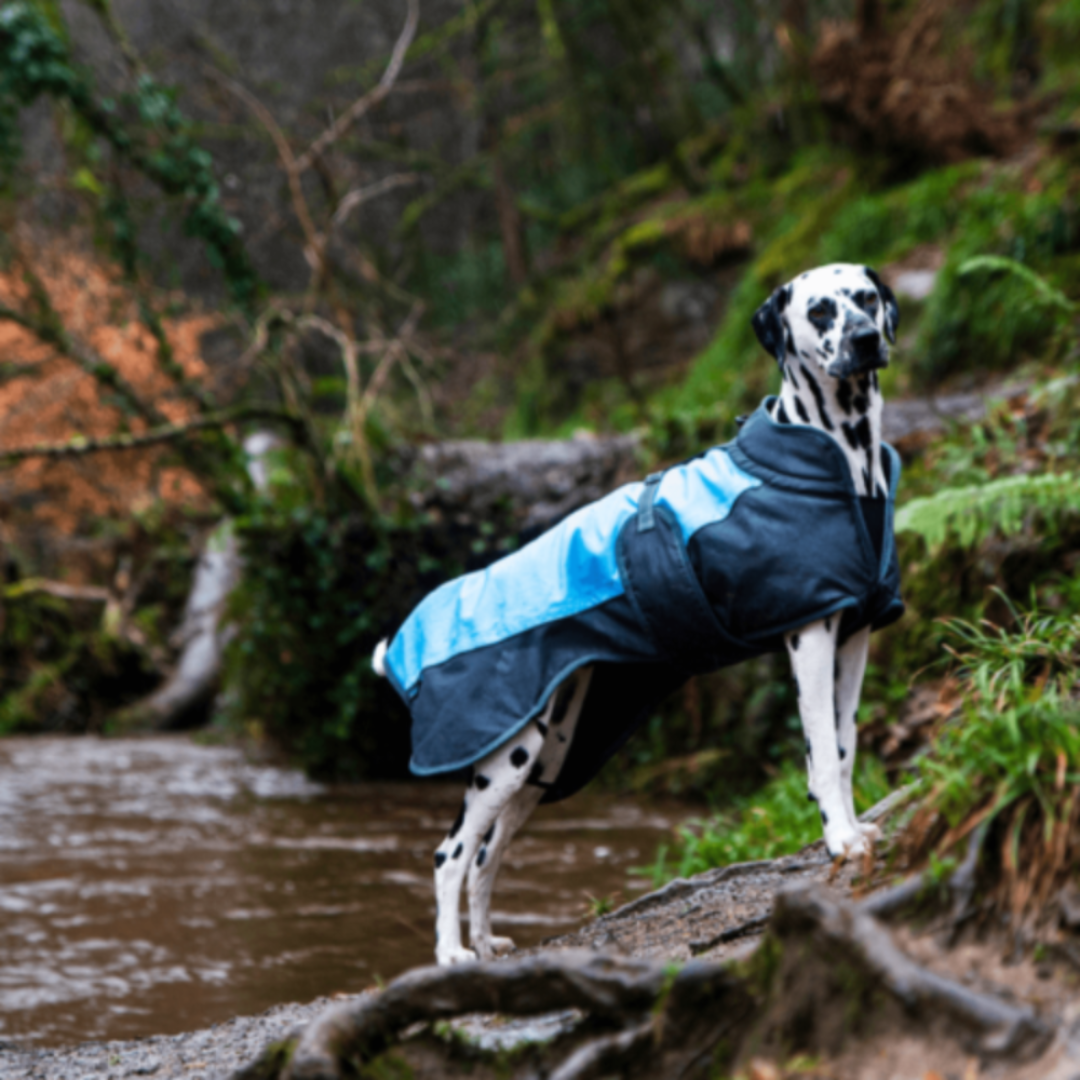 Waterproof Dog Coat