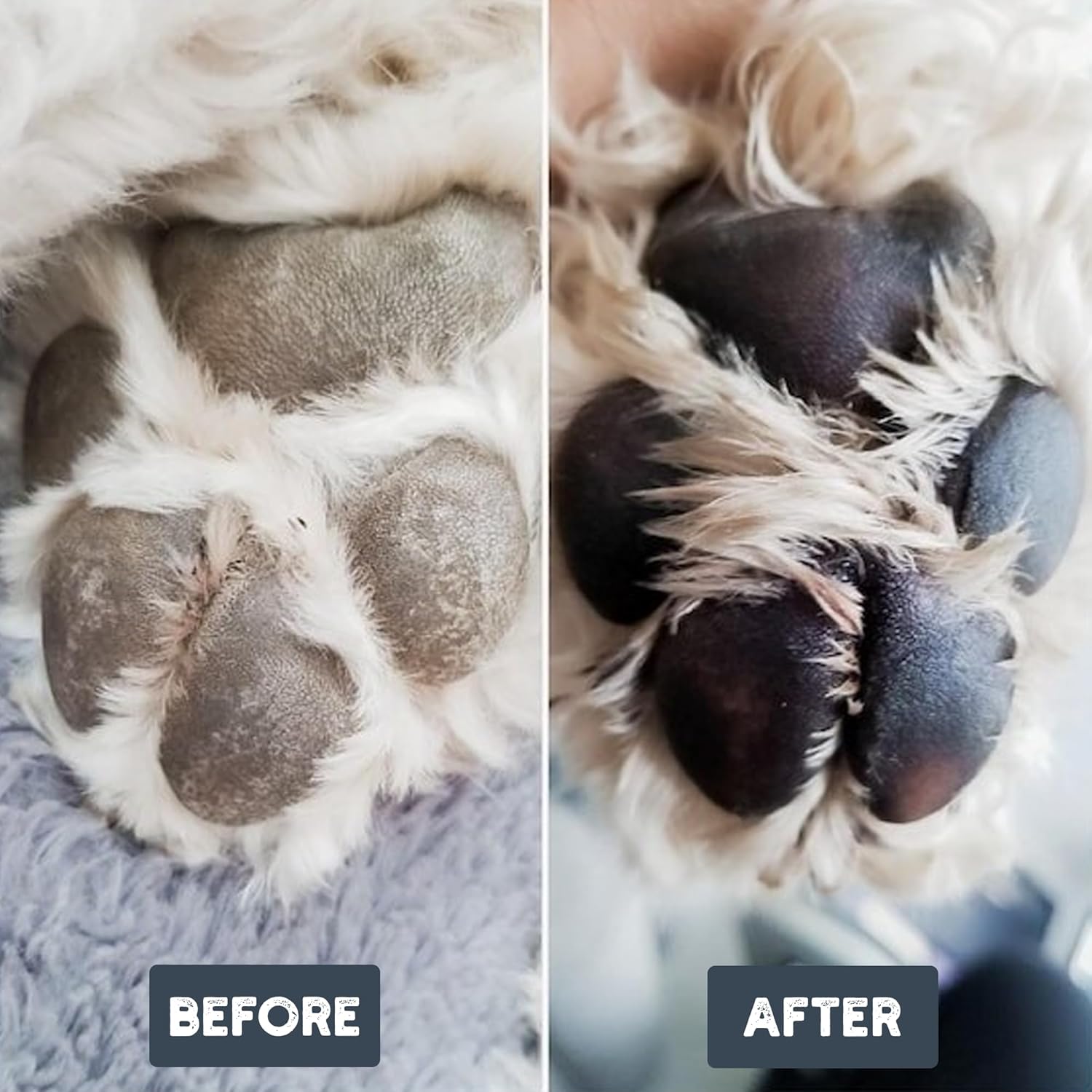 Henry Wag Pet Paw Cleaner