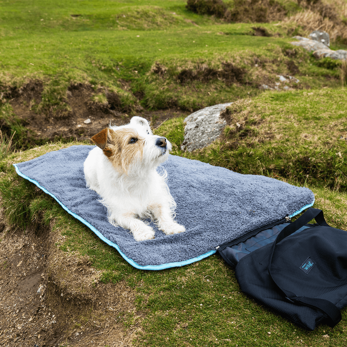 Easy-Roll Travel Pet Bed