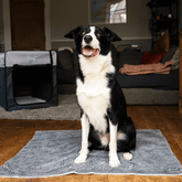 Henry Wag Microfiber Mat for Pet Dog