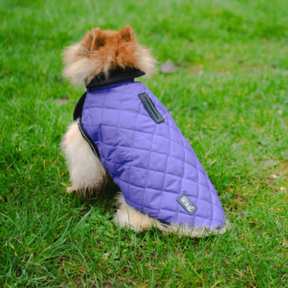 Quilted Dog Jacket (Purple)