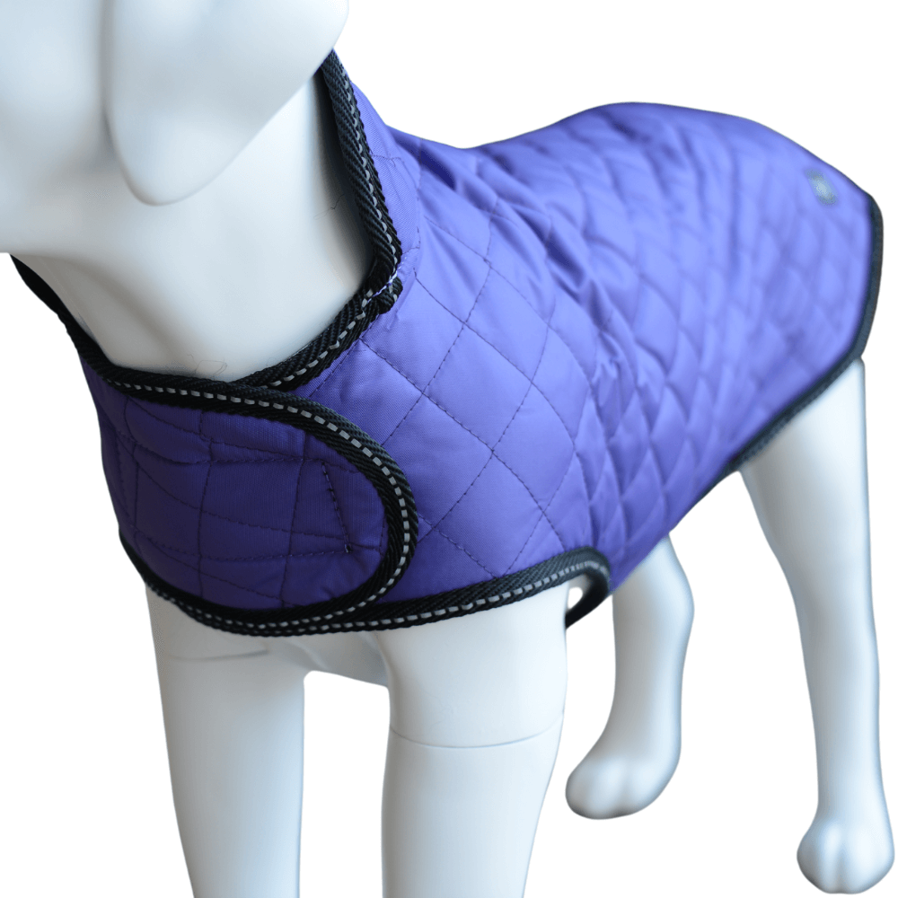 Quilted Dog Jacket (Purple)