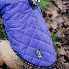 Quilted Dog Jacket (Purple)