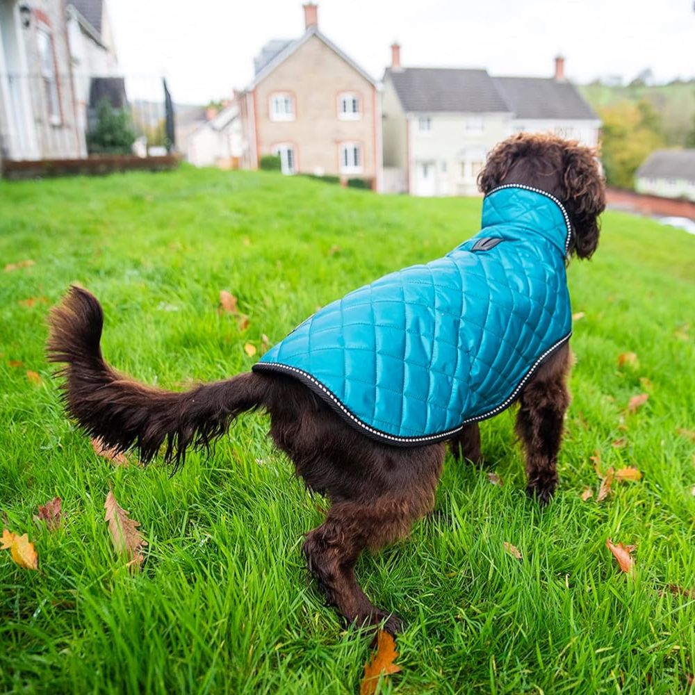 Henry Wag Quilted Winter Dog Jacket (Teal)