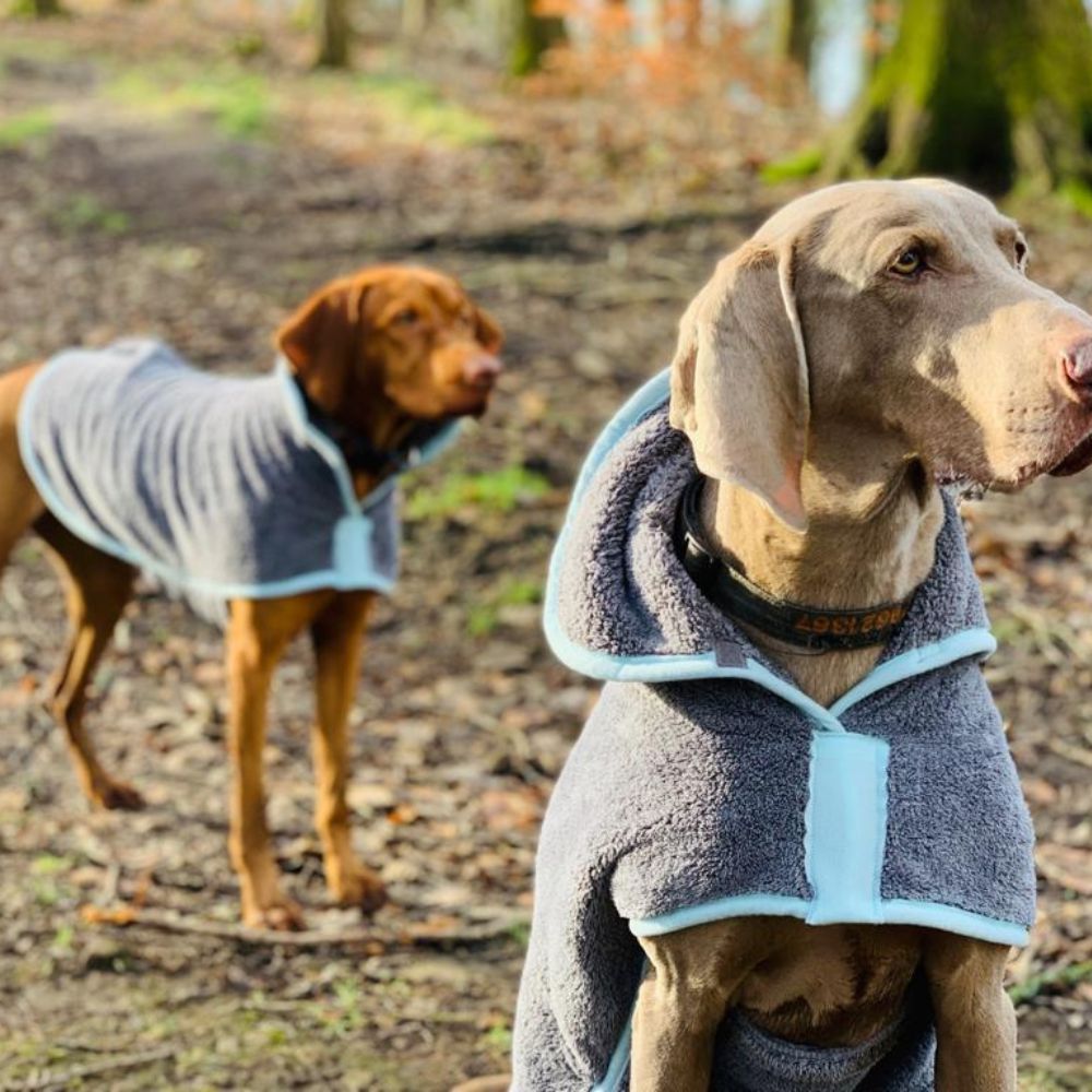 Henry Wag Microfiber Drying Coats