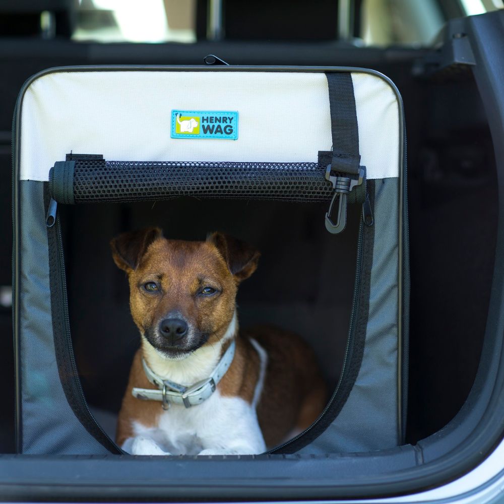 Henry Wag Folding Fabric Travel Crates