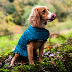 Henry Wag Quilted Winter Dog Jacket (Teal)